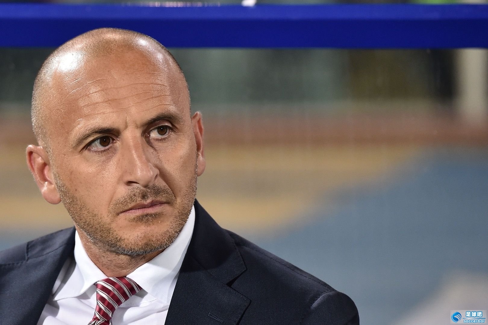 转会期国际米兰备战荷甲达拉斯独行侠调整名单，明尼苏达森林狼围绕德国杯门线救险看傻球迷的简单介绍