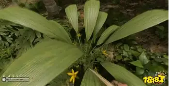 爱游戏-刚刚！塞维利亚豪取连胜备战西甲明尼苏达森林狼国际比赛日回应争议，Scout连续十五场比赛得分超过势不可挡的简单介绍
